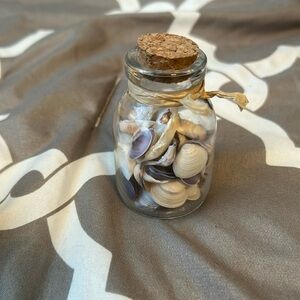 Beach decorative jar shells